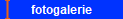 fotogalerie